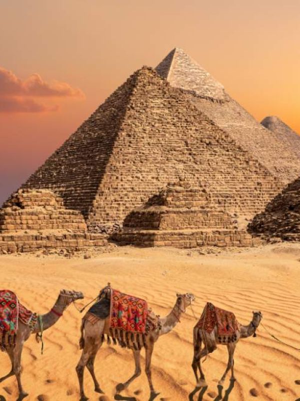 Egypt Tours