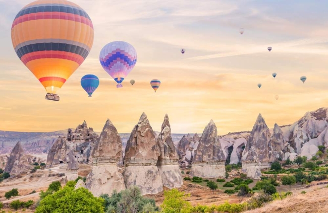 Trusted Local Travel Company